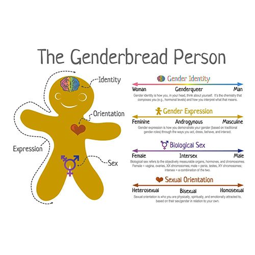 Genderbread Person